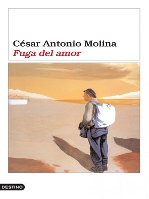 cover image of Fuga del amor